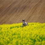 Sposób na udane przewóz osób klientów